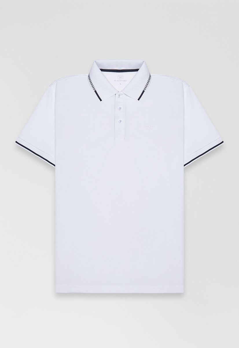 Поло DV-TS-GBG white/blue
